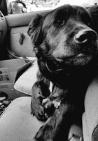 20180415_185017.jpg