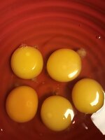 92F2A1A3-F8E3-4132-966D-060F59925B08.jpeg