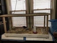 IMG_5422.JPG