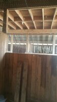front and top fencing.jpg