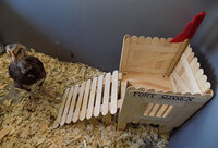 fort_1.jpg