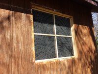 window-14.jpg