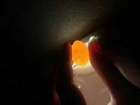 IMG_1058.jpeg