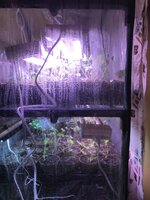 IMG_0052.JPG