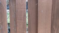 20200403_150928.jpg