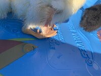 95761130-B0BC-477B-98DB-AAB9262D0E1B.jpeg