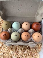 eggs1.jpg