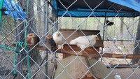 20200405_072021.jpg