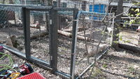 20200405_153948.jpg