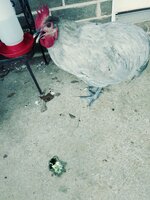 20200405_163858_Film3.jpg
