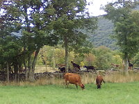IMG_20190901_111648.jpg