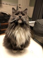 7C00FC98-E348-4CEC-A5BD-A0C3F67555E1.jpeg