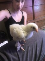 49139C8C-3A5D-429D-978E-4BB2E5D69E89.jpeg