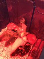 DCCD0866-82DF-4A20-A222-2B9404DA7729.jpeg