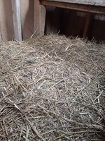 20200410_100644.jpg