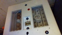 IMG_20200410_210749.jpg