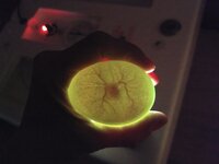 IMG_20200404_211307151.jpg