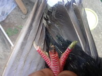 20200411_102848.jpg