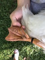 21326A5F-BB90-4AD5-8F9D-461ED7102AF1.jpeg