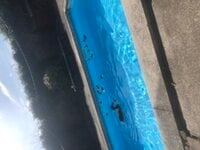 0342AF8C-89DE-4D92-99BB-6108FAD0EA98.jpeg