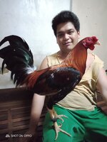 IMG20200411151109.jpg