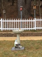 bird bath.JPG