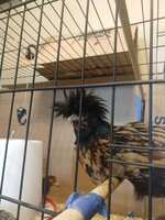 IMG_20190615_152435644.jpg