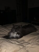 B705D5D4-AC70-443E-B99C-0602B9E4C1D0.jpeg