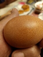 IMG20200409185304.jpg