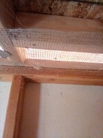 IMG_20200414_185502.jpg
