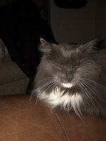 F3333388-F2D9-4954-ABF4-CFF80BDD4B92.jpeg