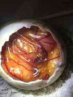 C1ABBECB-D957-45DB-A859-FC188FDF965C.jpeg