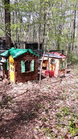20200416_144216.jpg