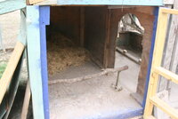 IMG_5460.JPG IMG_5460.JPG