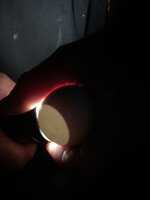 IMG_1636.jpeg