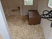 IMG_20200417_164336.jpg
