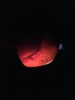 IMG_5761.jpg