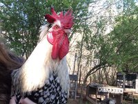 B035BDF8-FD94-4BC8-840D-A5F17C0ED277.jpeg