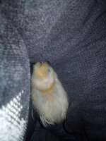 IMG_20200417_222139.jpg