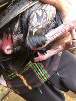2F13EED0-859C-4A28-A8E4-88D8A7AD9ADC.jpeg