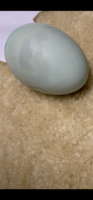28629596-CD60-4195-94B3-E105A122E04A.png
