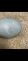 D1D021FC-964D-4AFE-840C-5A0B4AAA02B0.png