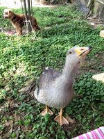 cc3de877-a952-42d6-8945-24263867c2f5.jpg