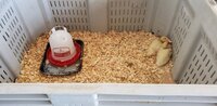20200421_160823.jpg