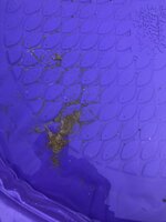 3F90B9D0-48C4-4B41-91A2-424B0C981F6A.jpeg