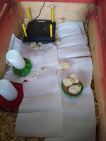 IMG_20200421_191358310.jpg