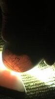FDD90156-6091-49DA-879F-E67431868509.jpeg