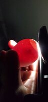20200414_093807.jpg