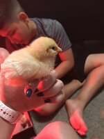 EA3B5097-A6BA-4627-9BD1-1CB336B24A00.jpeg