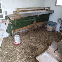 IMG_20200420_184743981.jpg